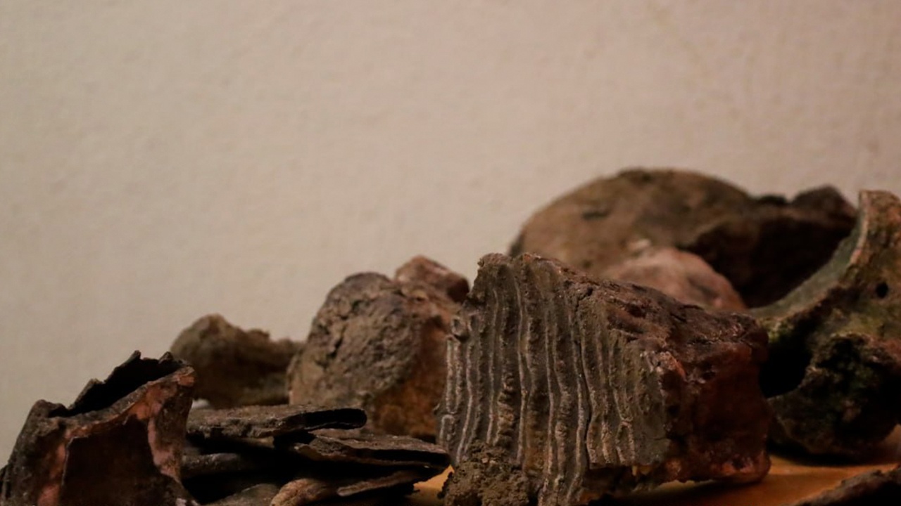 Voimakas koira, joka haudattiin 5000 vuotta sitten järveen tässä maassa 25 senttimetrin pituisen, hirven tai peuran luusta valmistetun tikarin kanssa.