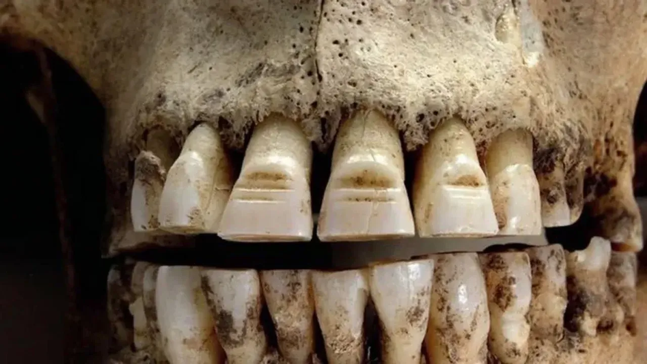 Tutkijat luulivat tutkivansa kivettyneitä hampaita, mutta löysivät jotain paljon oudompaa.