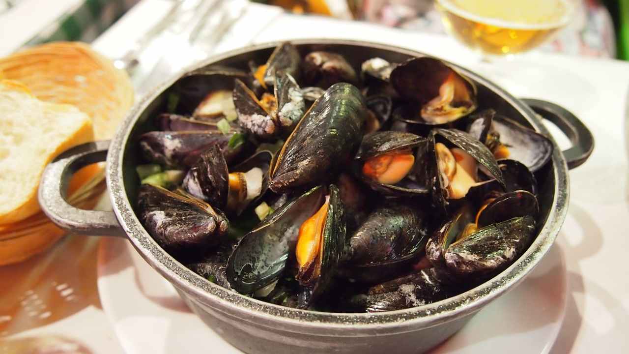 ”Olemme hyvin lähellä kriittistä pistettä”: ilmaston lämpenemisen vuoksi 25 vuoden kuluttua et ehkä enää voi syödä Välimeren simpukoita.