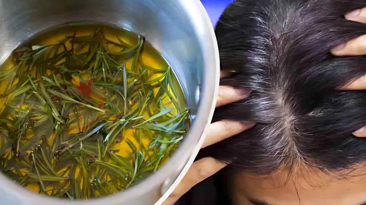 Ruokasoodan ja rosmariinin käyttö harmaiden hiusten hoitoon: miksi se on tarpeen ja miten se tehdään.