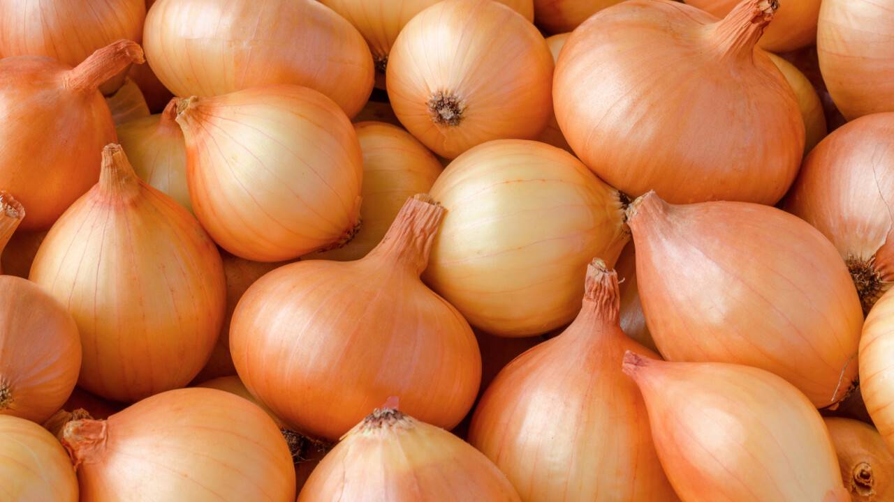 Työtason hankaaminen sipulilla: miksi se on tarpeen ja miksi sitä suositellaan.