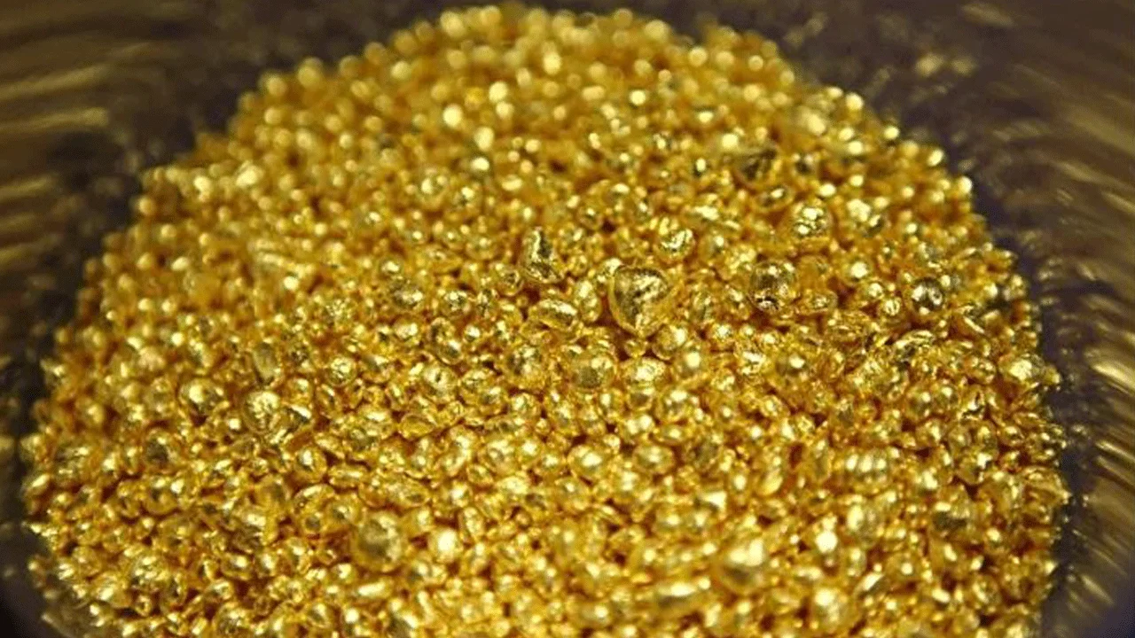 He löysivät kasvin, joka tuottaa puhdasta kultaa ja jota voi kasvattaa missä tahansa kodissa.