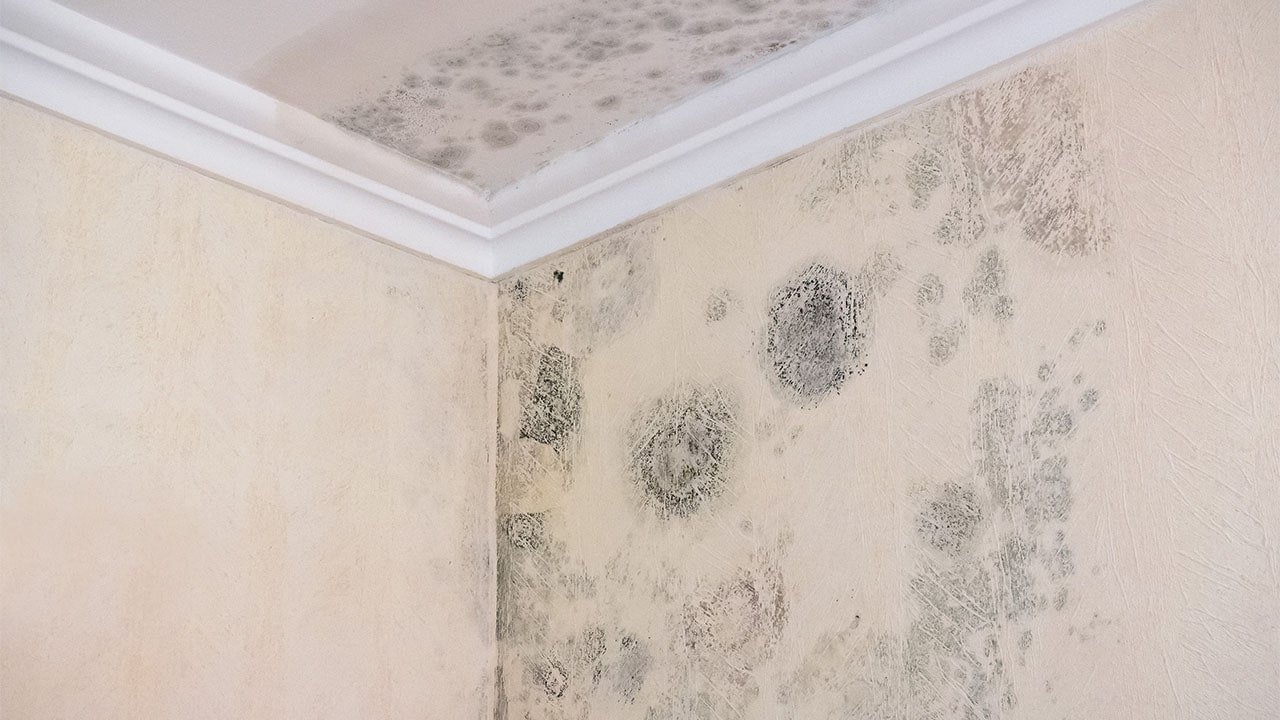 Useimmat meistä tekevät tämän väärin. Tuloksena on kosteutta ja hometta seinillä.