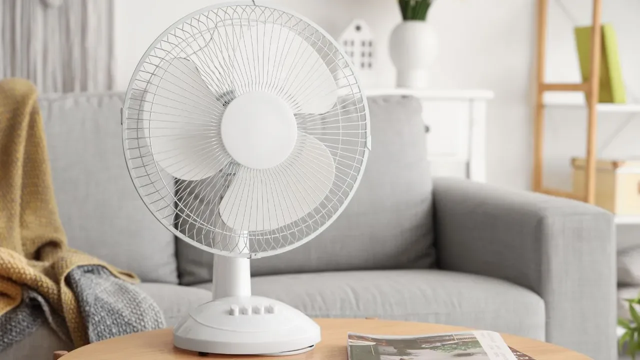 Rättiä tai sieniä ei tarvita: kuinka puhdistaa tuuletin helposti kotitekoisella aineella.