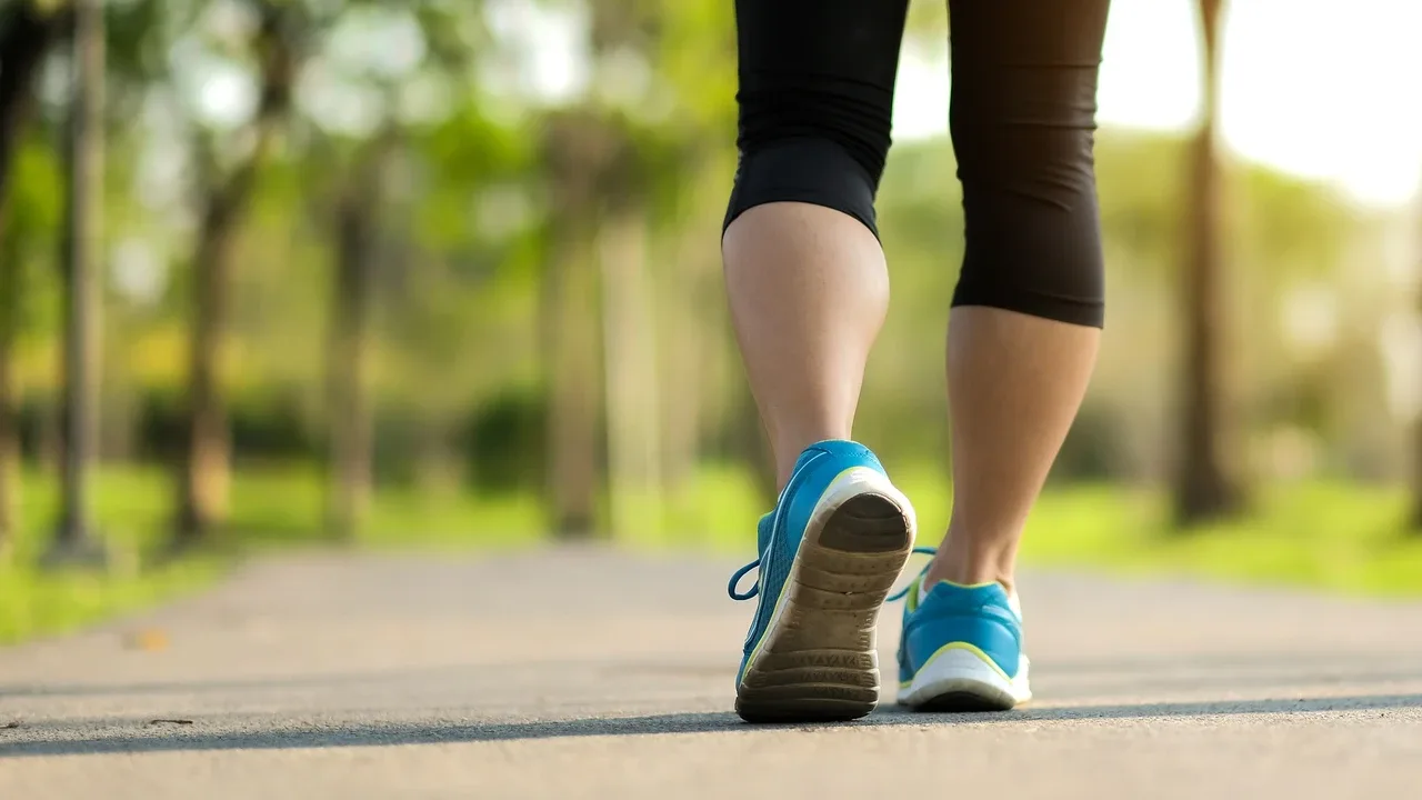 Auttaako kävely lisäämään lihasmassaa, polttamaan rasvaa tai molempia?