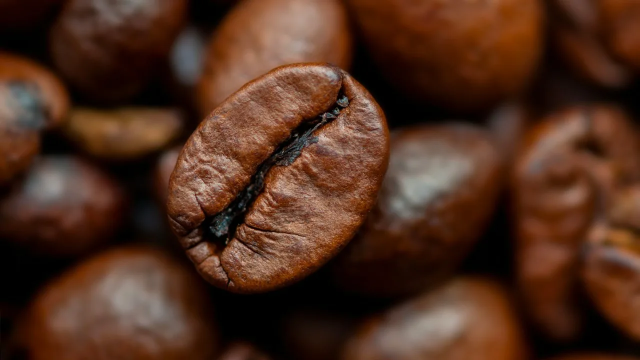 Kyse ei ole hajusta: juuri siksi kahvipapuja suositellaan säilytettäväksi kaapissa.