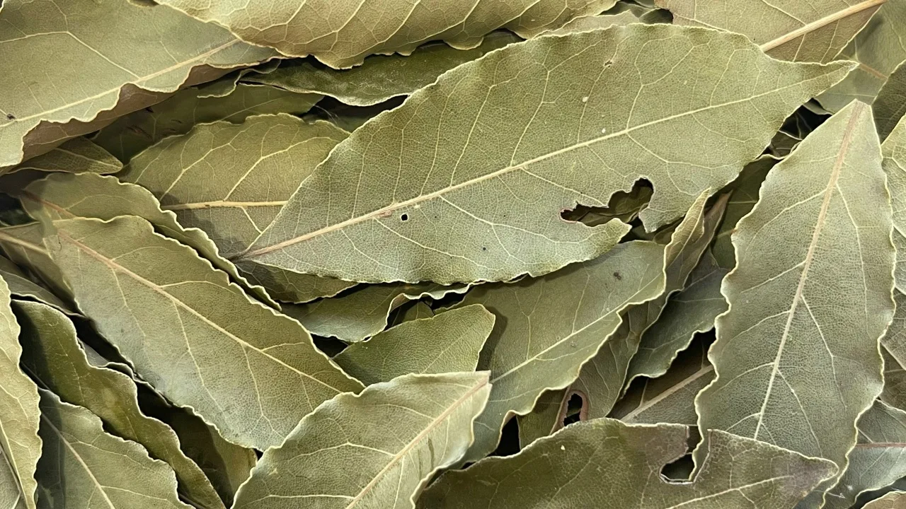 Laakerinlehden ripustaminen kylpyhuoneen oveen: miksi se on tarpeen ja miksi sitä suositellaan.