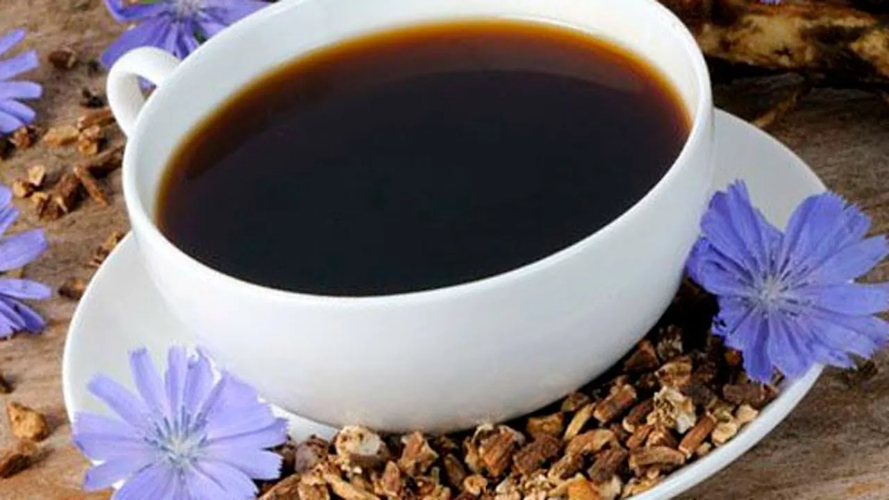 Sikuri: kahvinkorvikkeen hyödyt ja haitat.