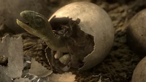 Arkeologit eivät voi uskoa: maasta on löydetty 72 miljoonaa vuotta vanhoja dinosaurusten munia.