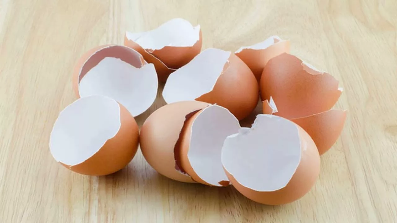 Munankuori on aarre: miksi heittää se pois ja miten sitä voi käyttää uudelleen?