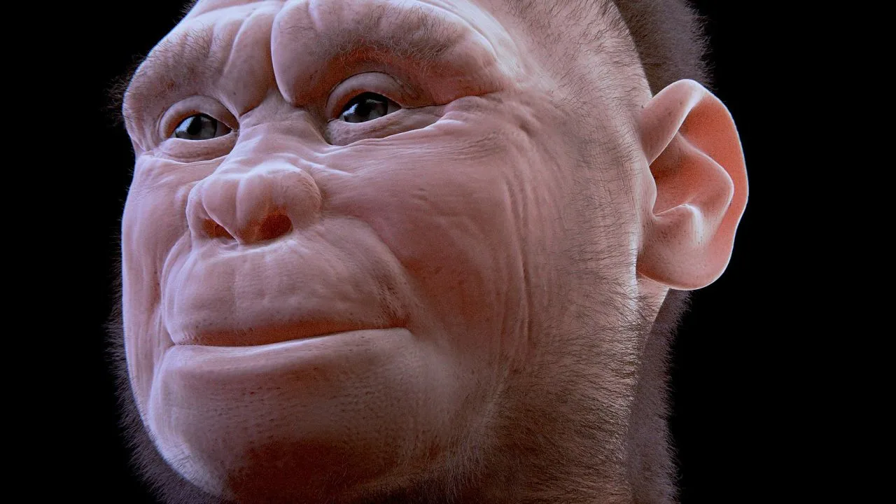 Tutkijat ovat selvittäneet, että nykyihmiset eivät ole osallisia indonesialaisten ”hobittien” sukupuuttoon