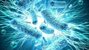 Elävät solut voivat tuottaa sähköä liikkeestä