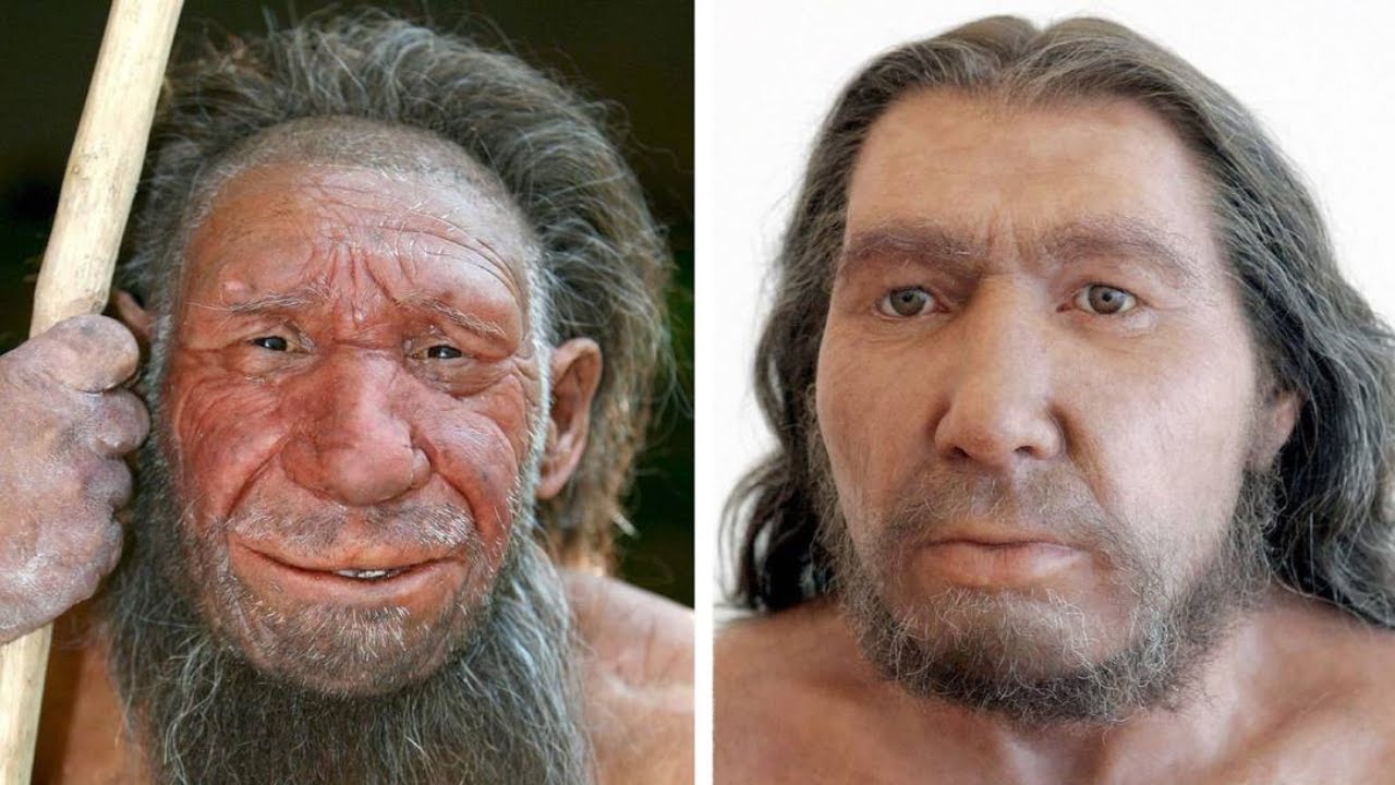 Oliko neandertalilaisten nenät paremmin sopeutuneet kylmään kuin Homo sapiensin nenät?