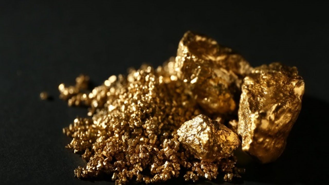 He löysivät kasvin, joka tuottaa puhdasta kultaa ja jota voi kasvattaa missä tahansa kodissa.