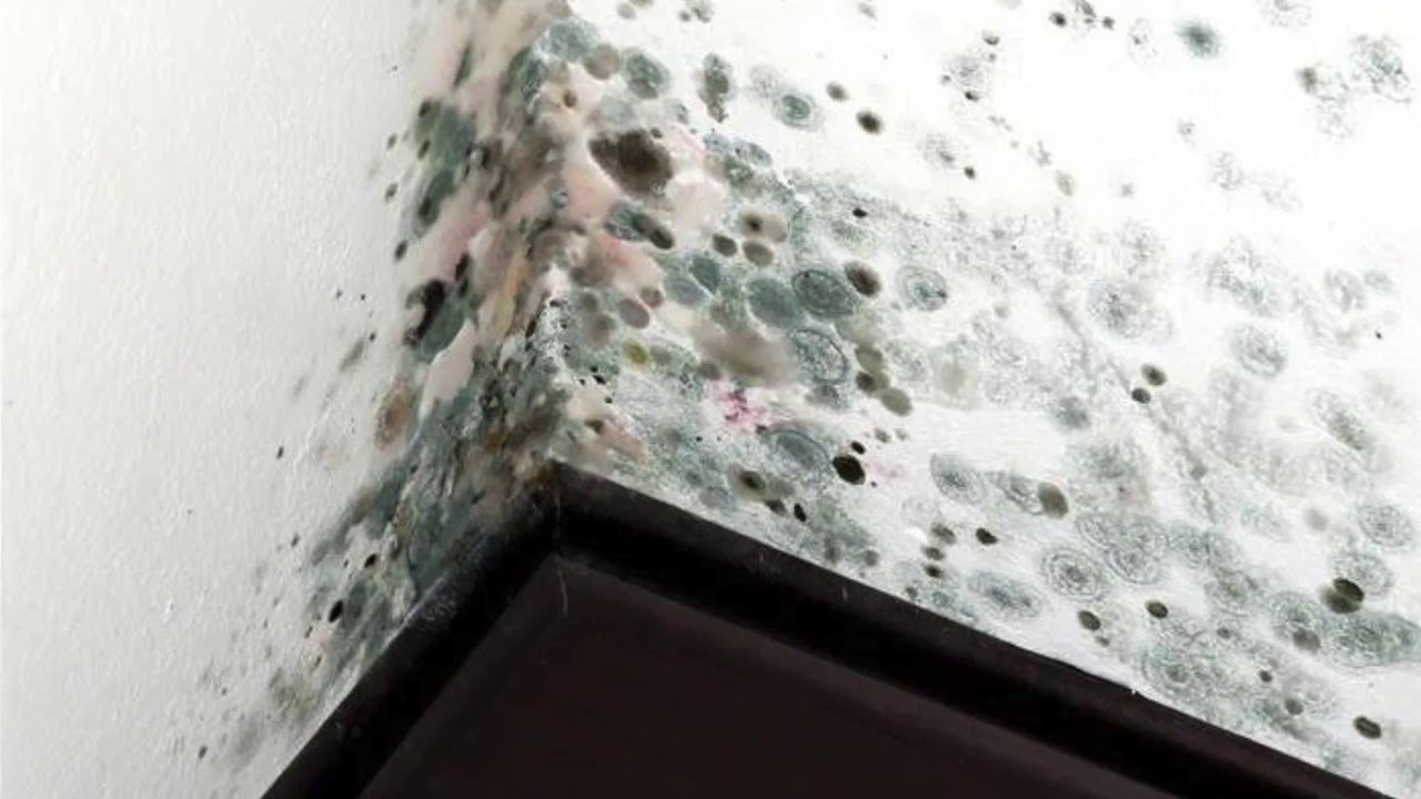 Useimmat meistä tekevät tämän väärin. Tuloksena on kosteutta ja hometta seinillä.