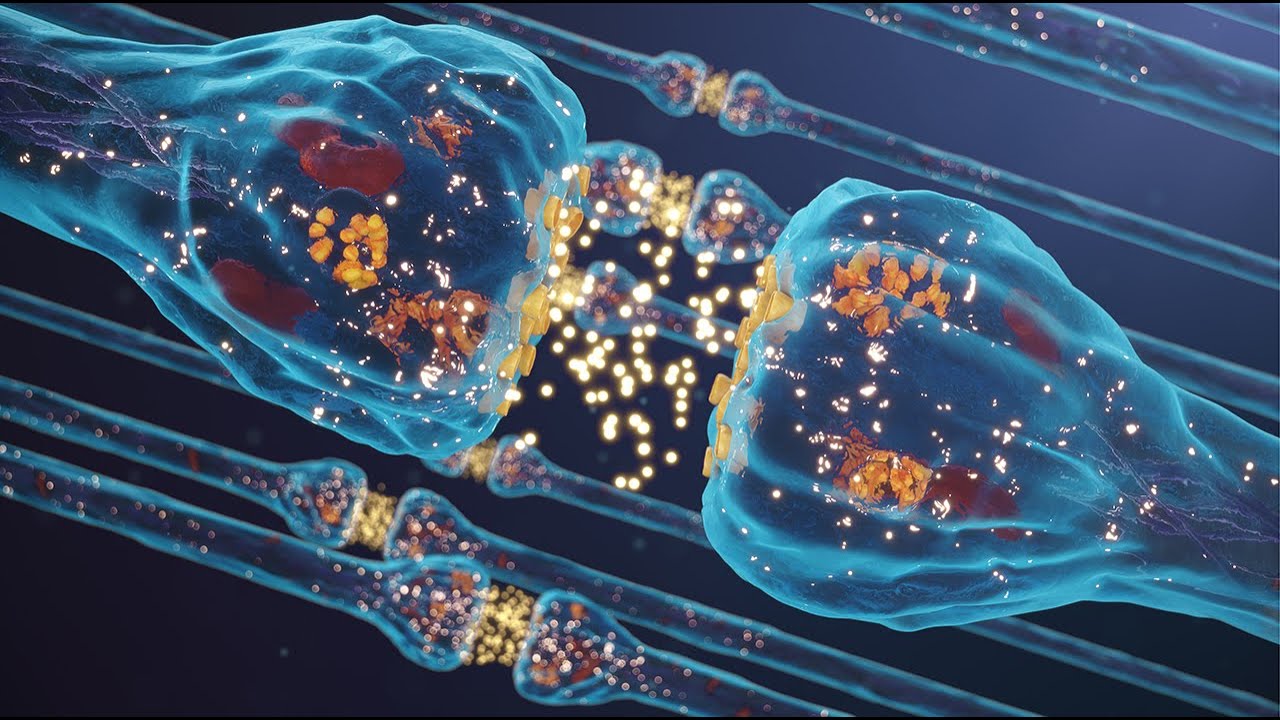 Elävät solut voivat tuottaa sähköä liikkeestä