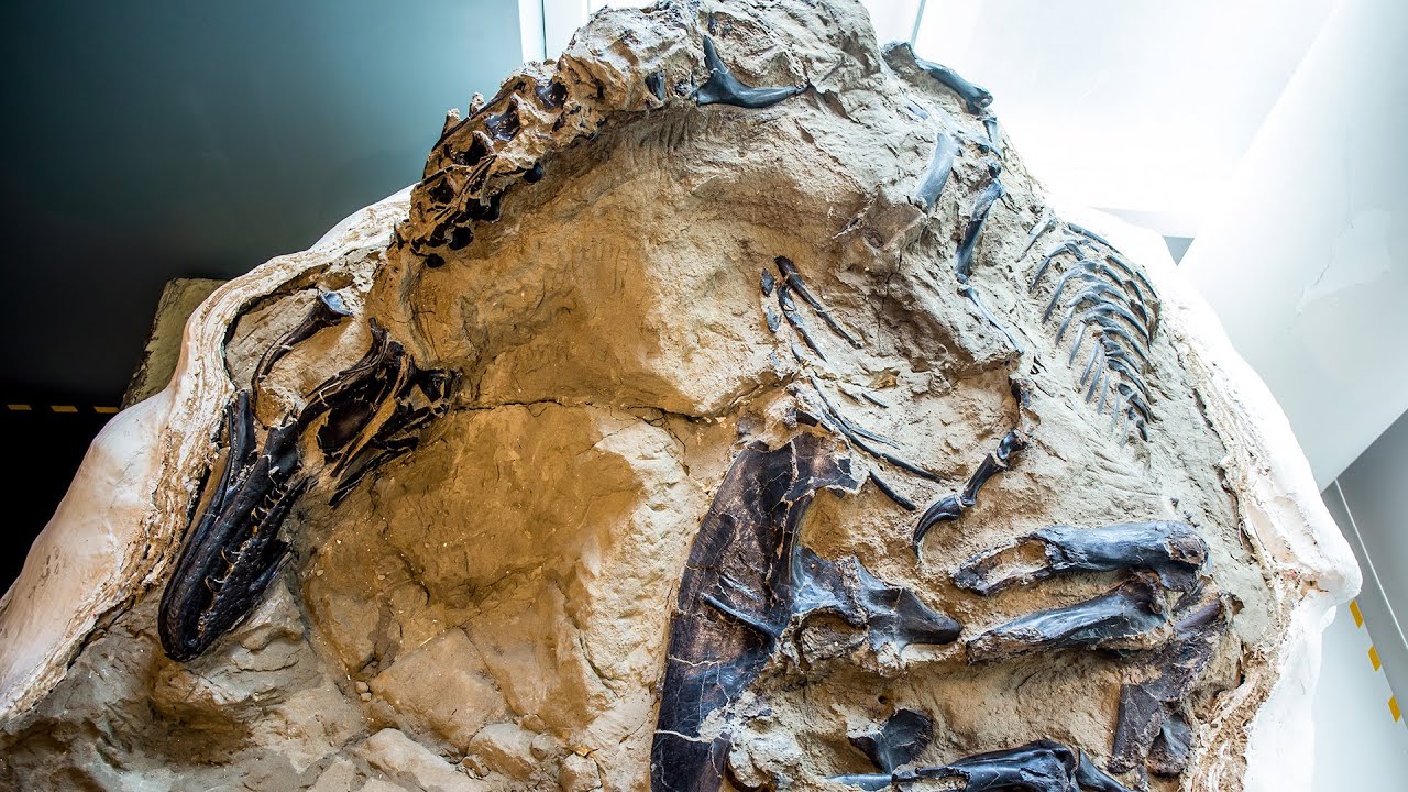 Dinosaurukset eivät olleetkaan sellaisia kuin olimme kuvitelleet: maasta löydetty miljoona vuotta vanha fossiili pakottaa meidät kirjoittamaan historian uusiksi.