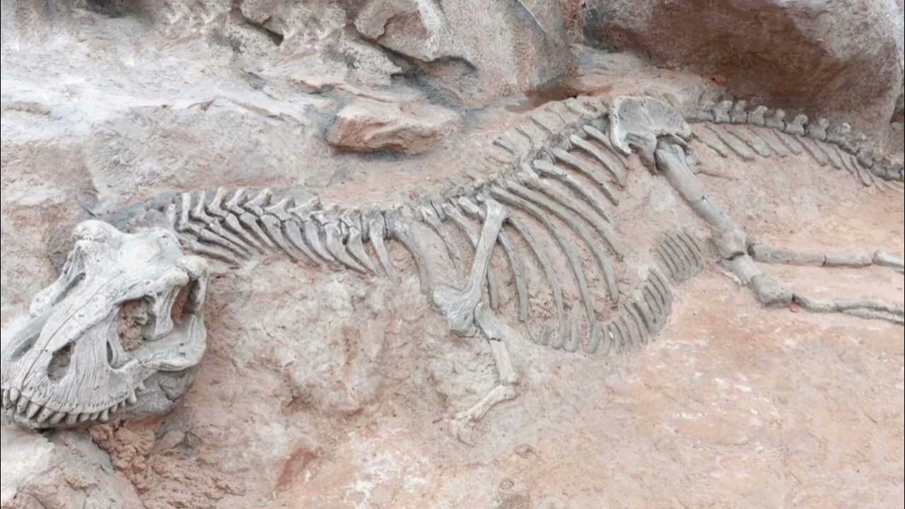 Dinosaurukset eivät olleetkaan sellaisia kuin olimme kuvitelleet: maasta löydetty miljoona vuotta vanha fossiili pakottaa meidät kirjoittamaan historian uusiksi.