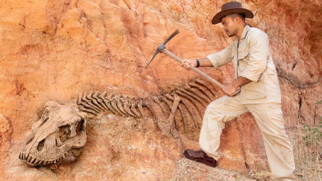 Dinosaurukset eivät olleetkaan sellaisia kuin olimme kuvitelleet: maasta löydetty miljoona vuotta vanha fossiili pakottaa meidät kirjoittamaan historian uusiksi.