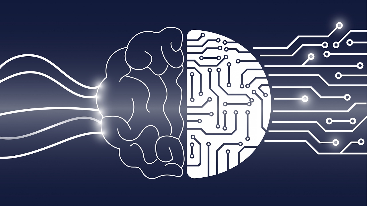 Vuoden 2025 tulokset biologiassa: muisti toimii ilman aivoja, tekoäly ei kopioi neuroneja, tuntoaisti on monimutkaisempi kuin näköaisti