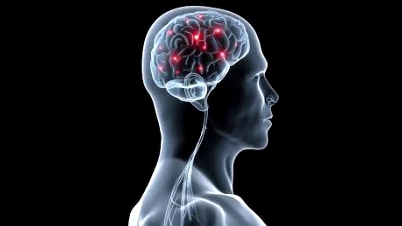 Pettymys muuttaa aivojen kemiallista koostumusta ja käyttäytymistä