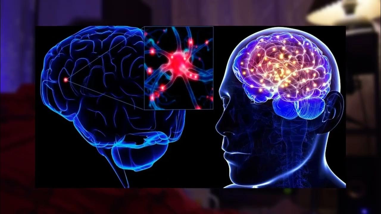 Pettymys muuttaa aivojen kemiallista koostumusta ja käyttäytymistä