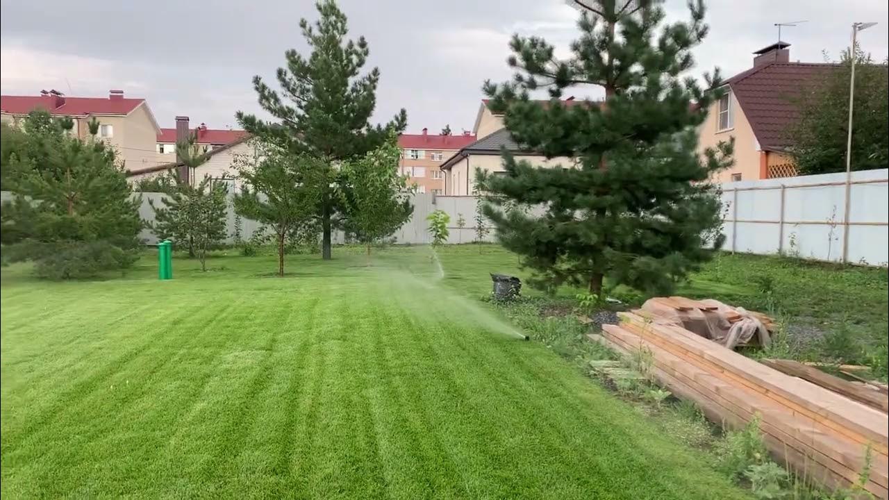 Nurmikon kastelu pesuaineella talvella: salaisuuden paljastaminen, joka aiheuttaa erimielisyyttä puutarhureiden ja asiantuntijoiden keskuudessa.