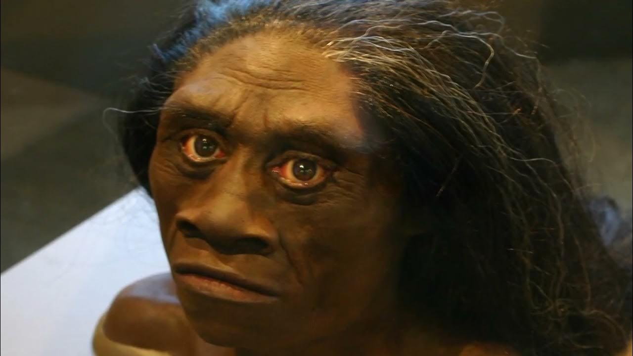 Tutkijat ovat selvittäneet, että nykyihmiset eivät ole osallisia indonesialaisten ”hobittien” sukupuuttoon