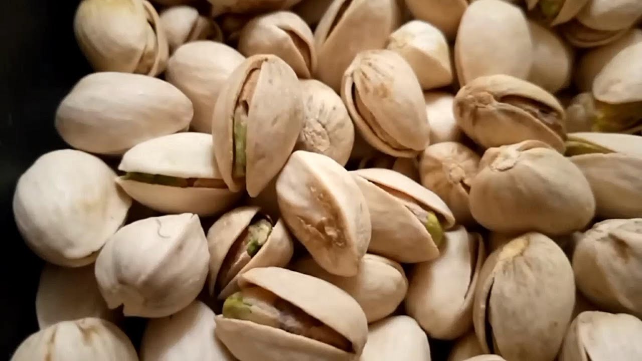 Mihin pistaasipähkinöiden kuoria käytetään ja miksi niitä pidetään aarteena?