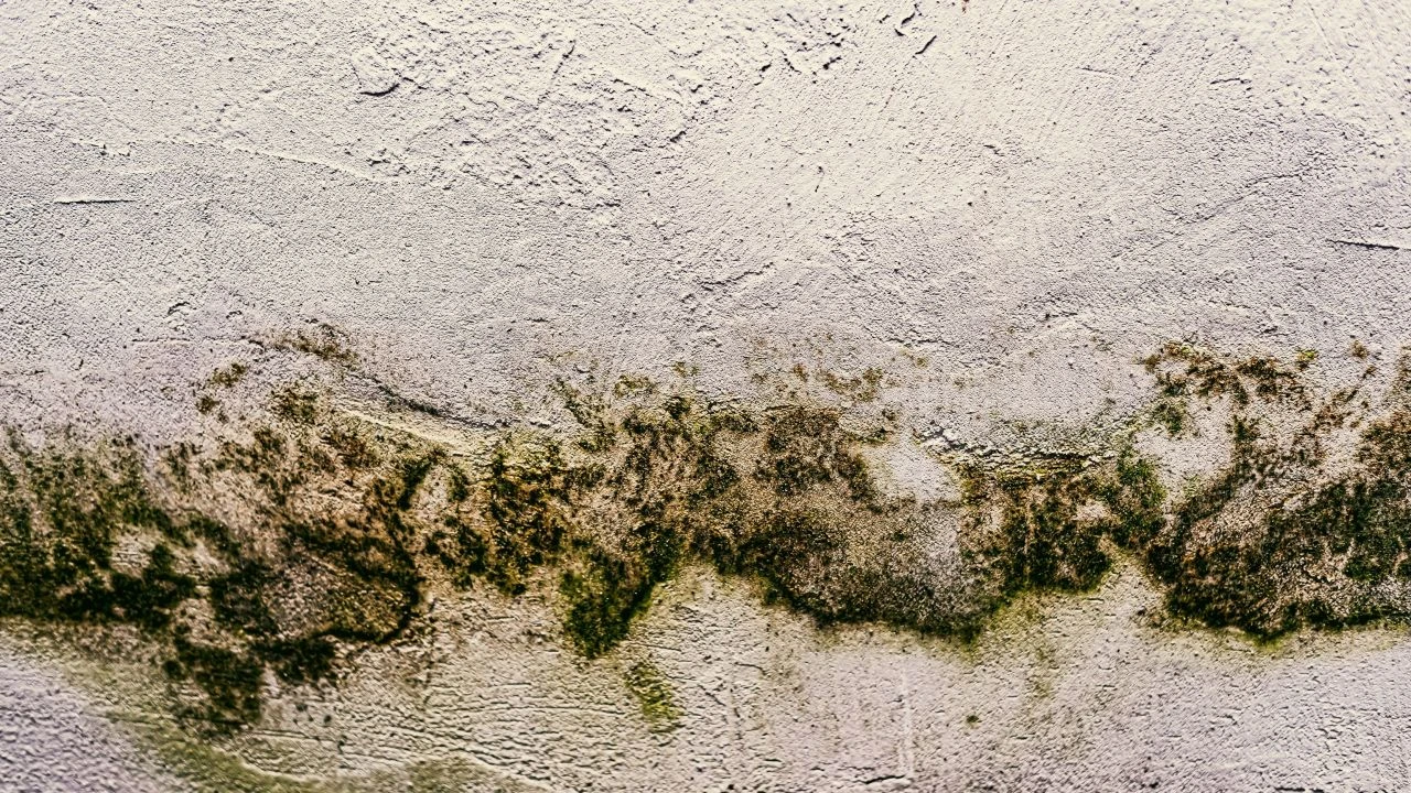 Useimmat meistä tekevät tämän väärin. Tuloksena on kosteutta ja hometta seinillä.