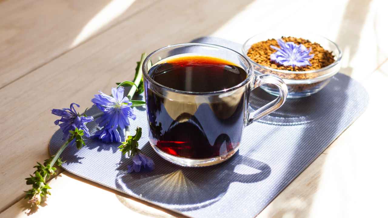 Sikuri: kahvinkorvikkeen hyödyt ja haitat.