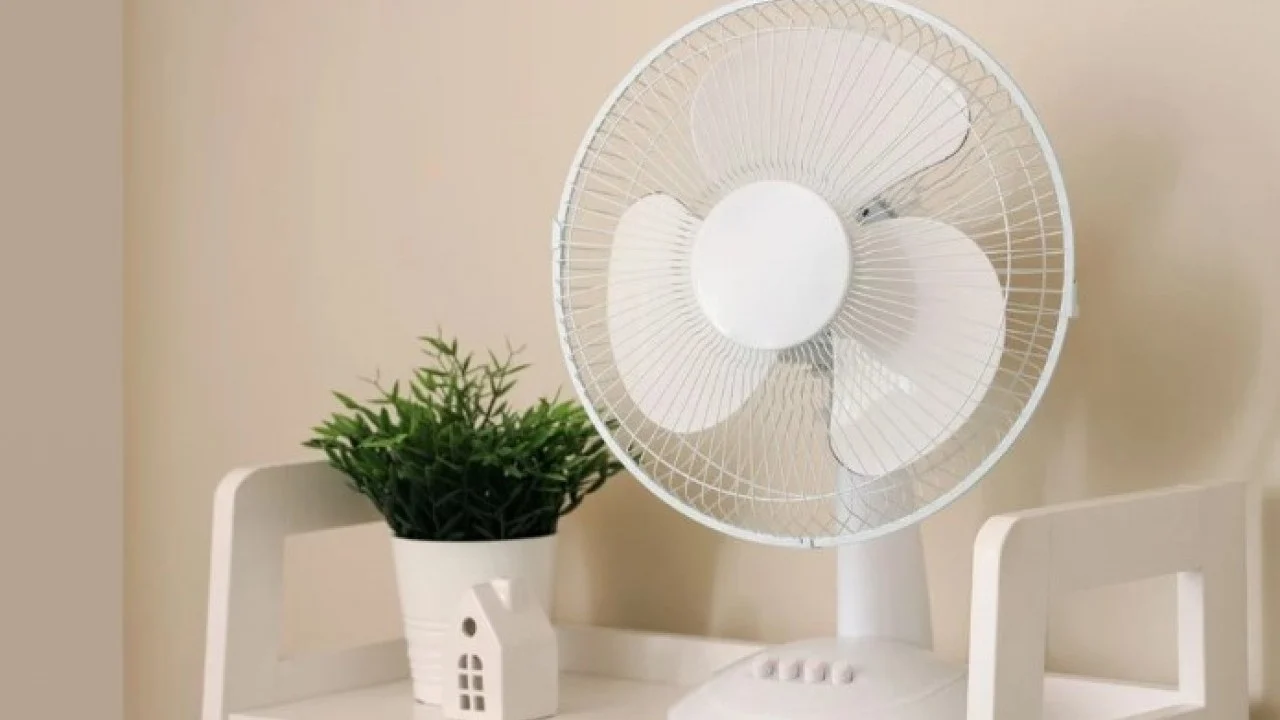 Rättiä tai sieniä ei tarvita: kuinka puhdistaa tuuletin helposti kotitekoisella aineella.